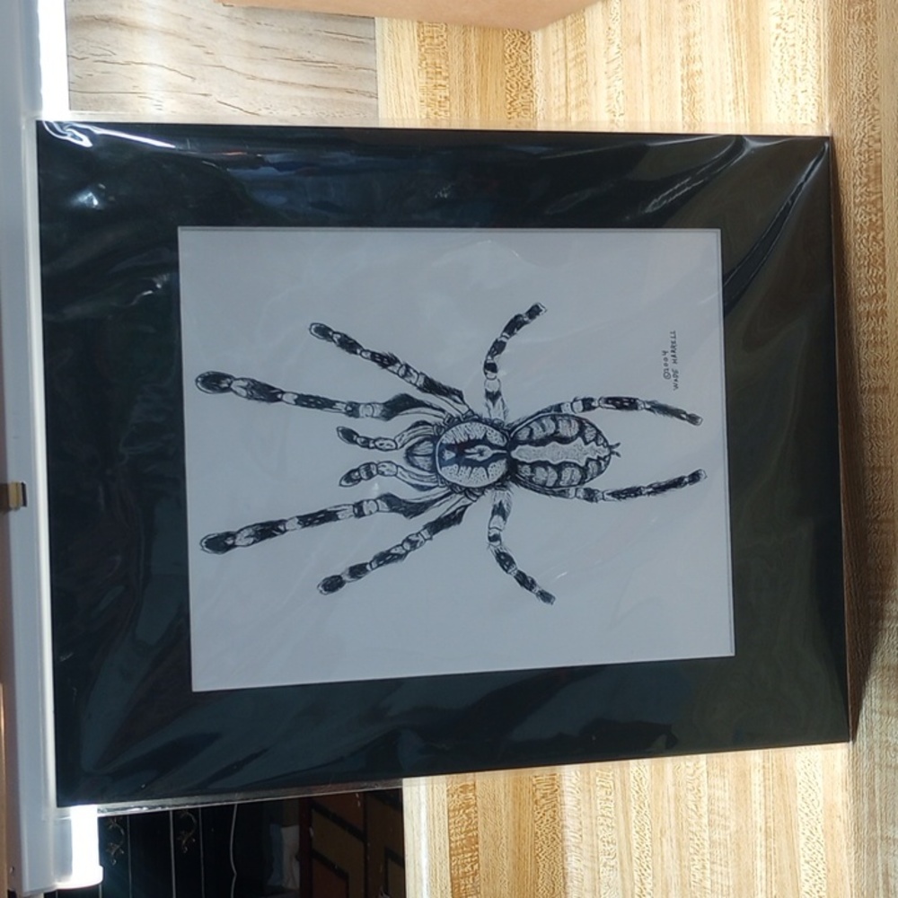 Indian Ornamental Sketch